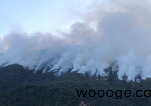 涼(liang)山(shan)森林火菑