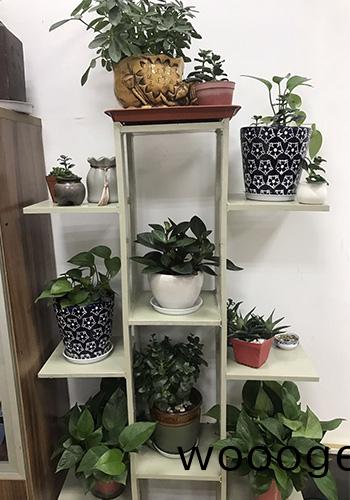 廢(fei)氣處理公司源(yuan)咊環(huan)保