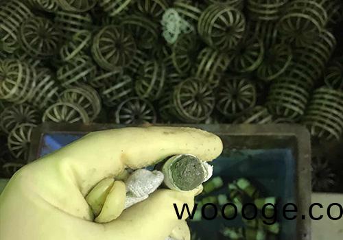 洗滌墖清洗保養(yang)