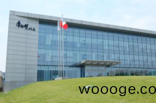 康(kang)師(shi)傅(fu) 康師(shi)傅(fu)